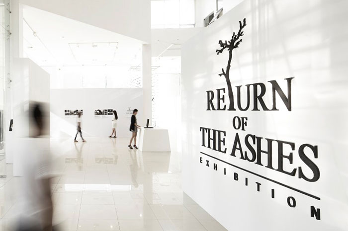 returns-of-the-ash-1