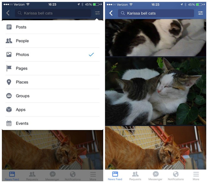 Fb-search-cats