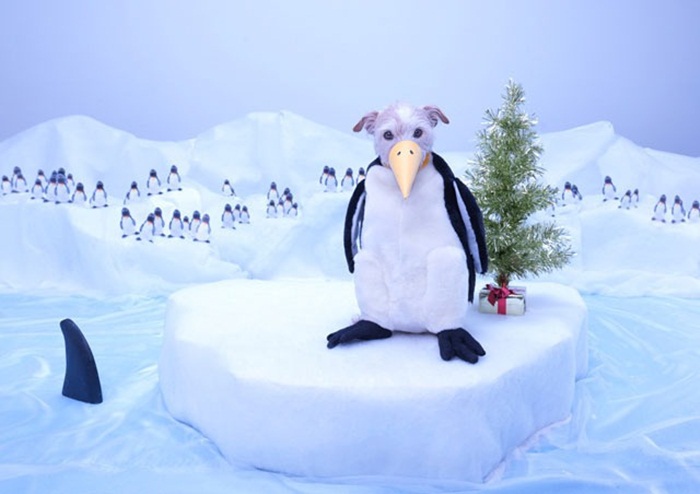 penguin-2011
