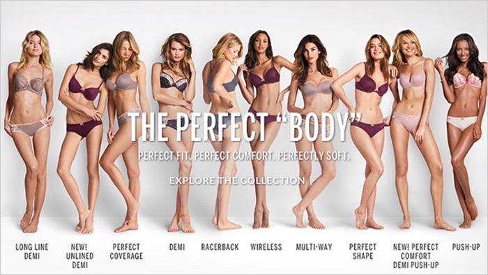 victorias-secret-perfect-body-hed-2014_0