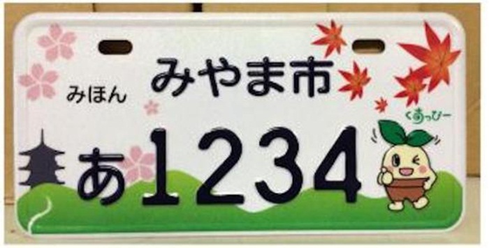 Japanese plate6