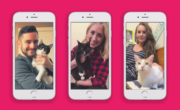 Orphaned-Cats-Find-New-Homes-Using-Tinder-Dating-App-1-higlight