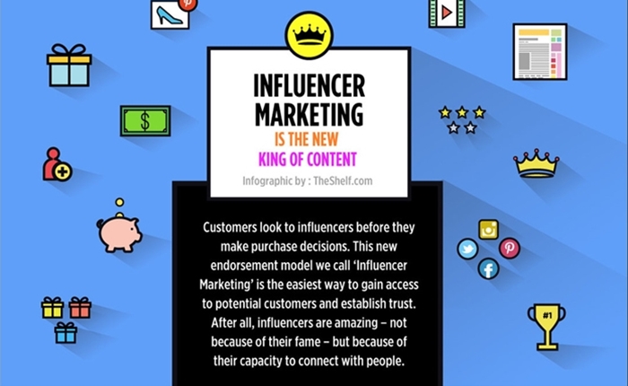 the-shelf-influencer-marketing-infographic-higlight