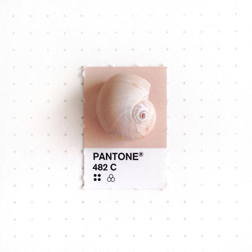 3048367-slide-s-3-20-tiny-objects-color-matched-with-pantone-chips