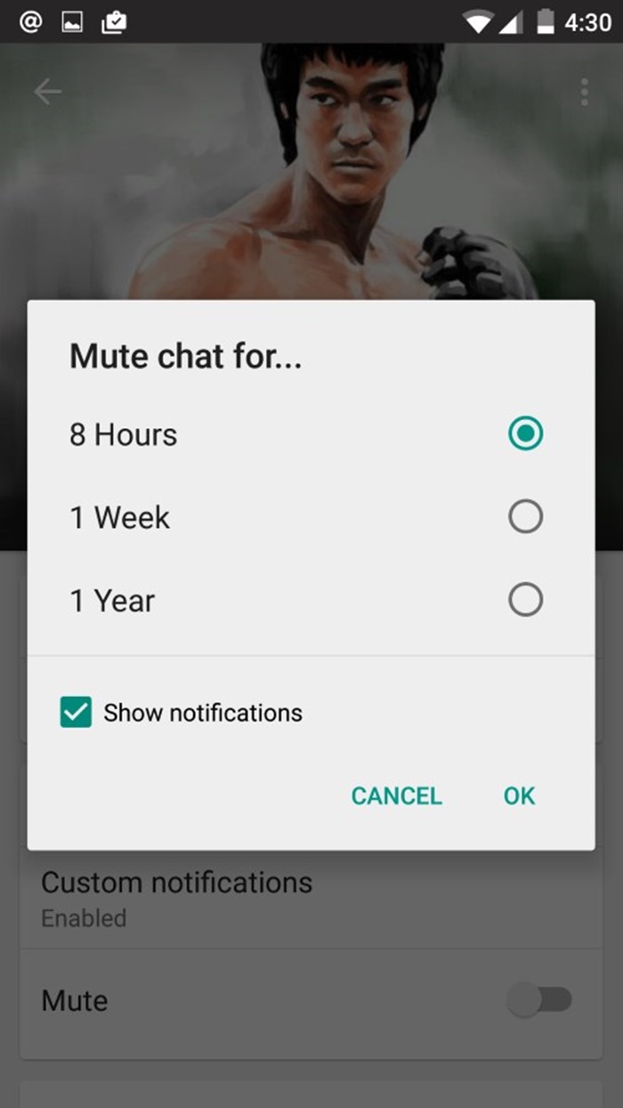 You-can-now-mute-conversations-from-individual-contacts