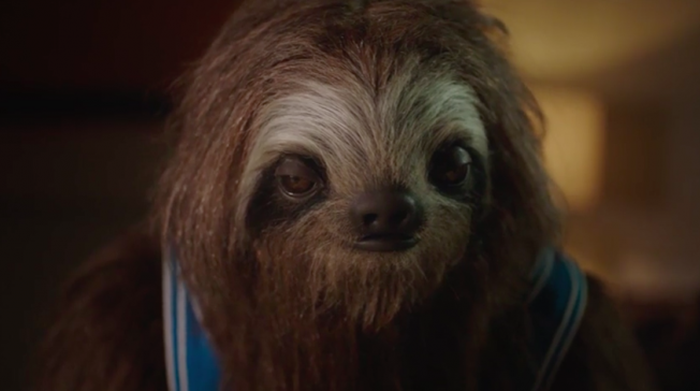 stoner-sloth-hed