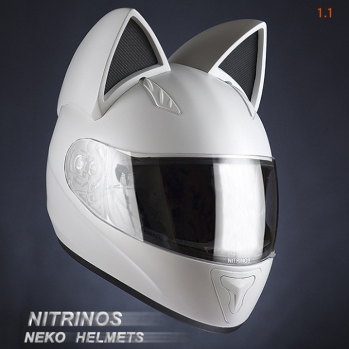 cat helmet2