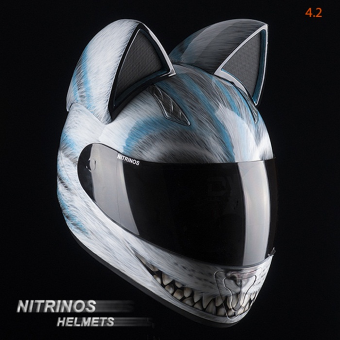 cat helmet6