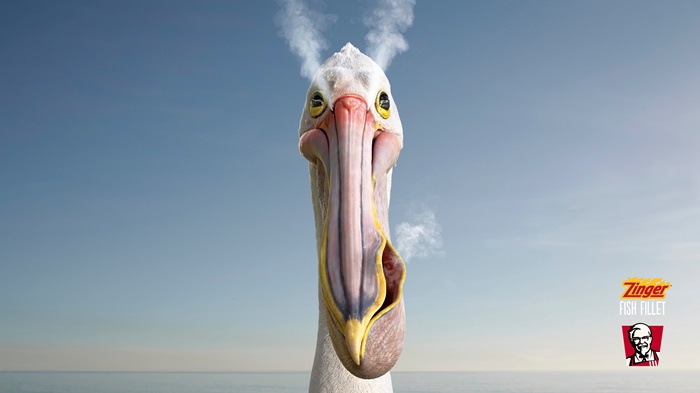 kfc-seal-pelican-penguin-print-384769-adeevee