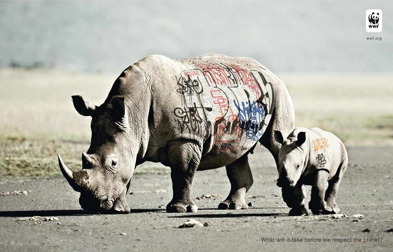biodiversity-and-biosafety-awareness-rhinoceros