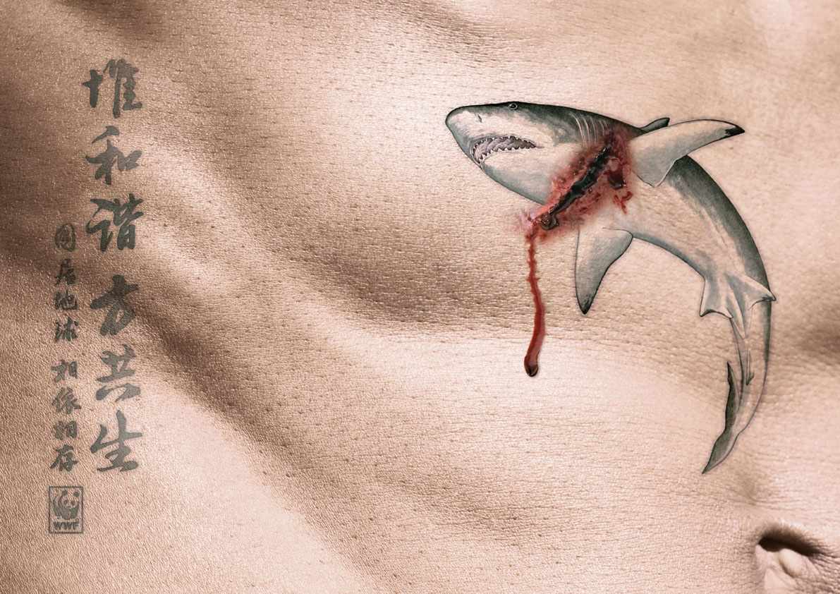 shark_animal-protection-rgb