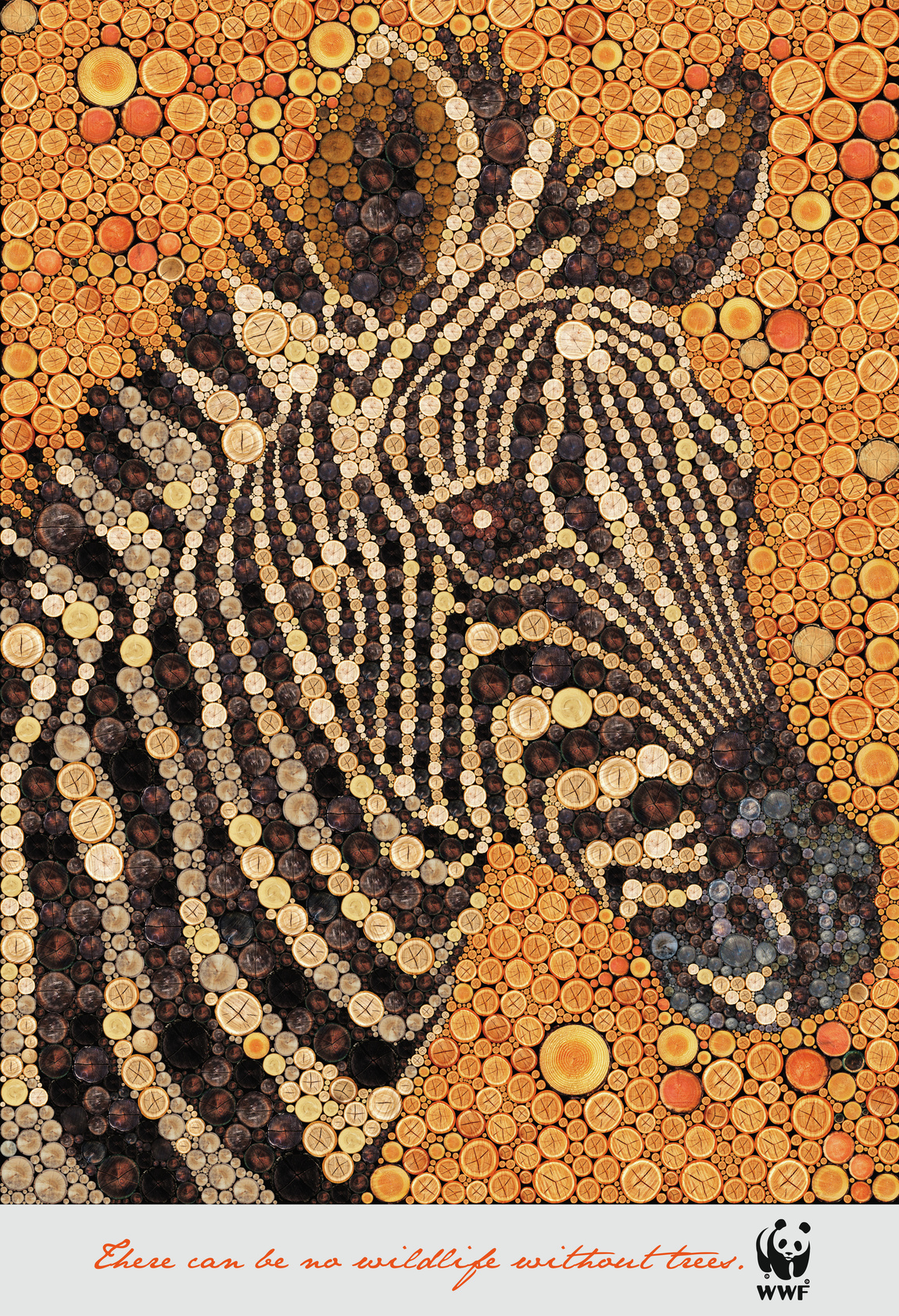 wwf-wwf-zebra-giraffe-bird-tiger-print-384957-adeevee
