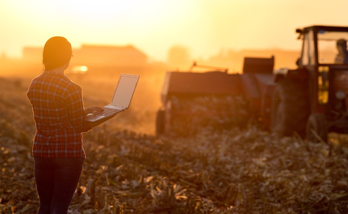 Woman with laptop in the field