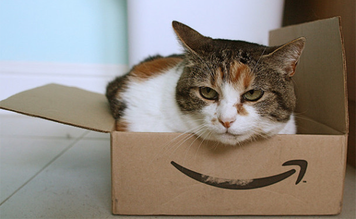 Amazon-cat