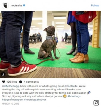 Behind-the-scenes content