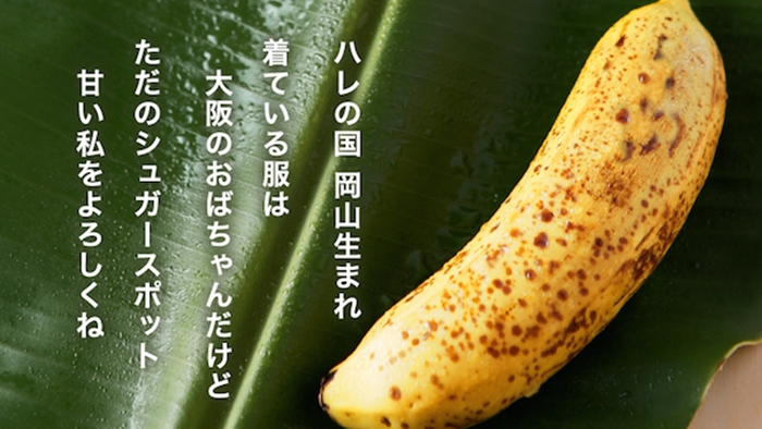 Mongee-Banana-Edible-Peel-Skin-Japan-2-700