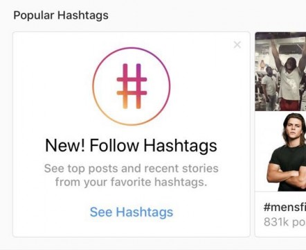 follow-hashtags