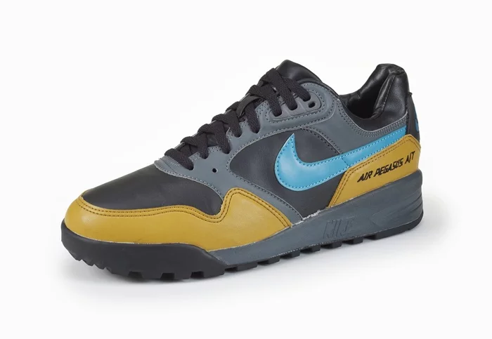 1991_Air_Pegasus_004