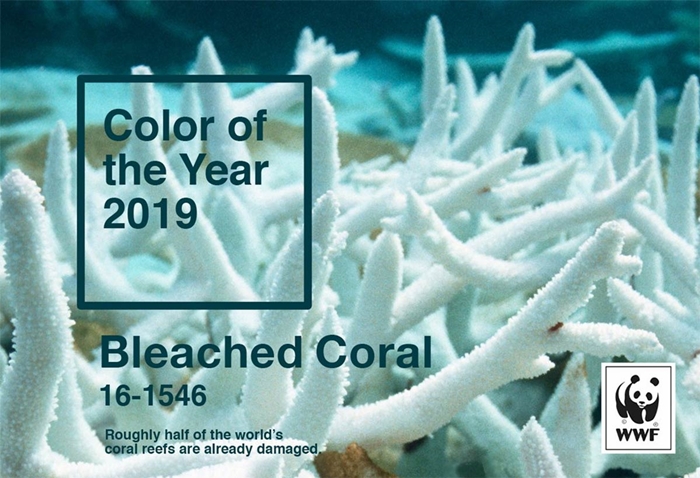 Bleached-Coral-Color-of-the-year-WWF-700
