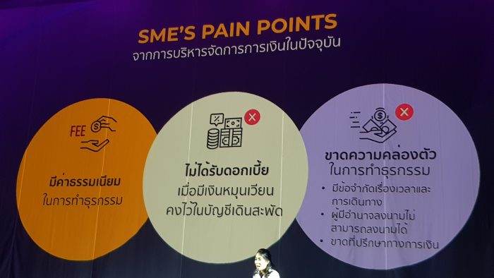 SME Pain Point