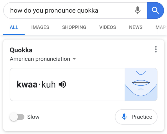 google_pronunciation