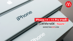 รายได้-apple