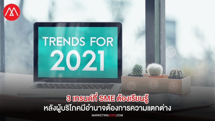 3 Trends SME
