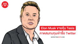 elon-musk-sells-tesla-shares