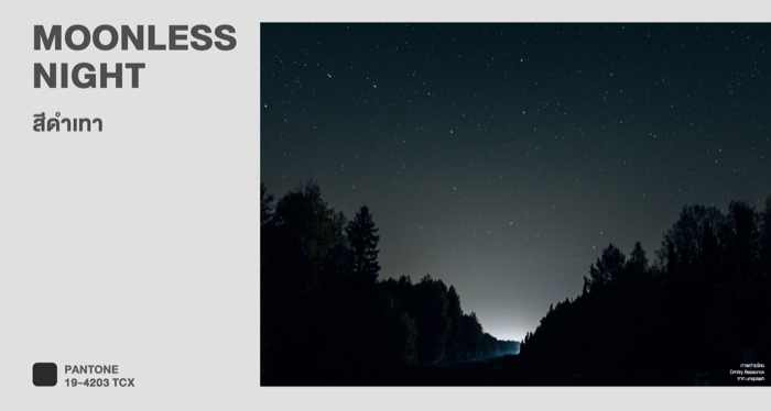 Color Trends 2023-Moonless Night