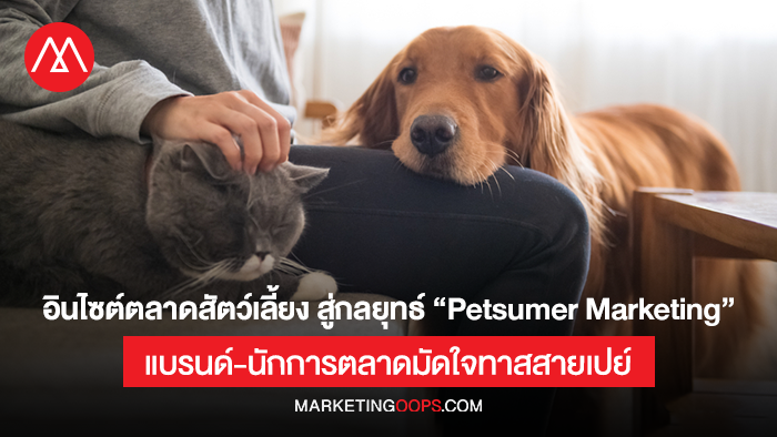 Petsumer-Marketing