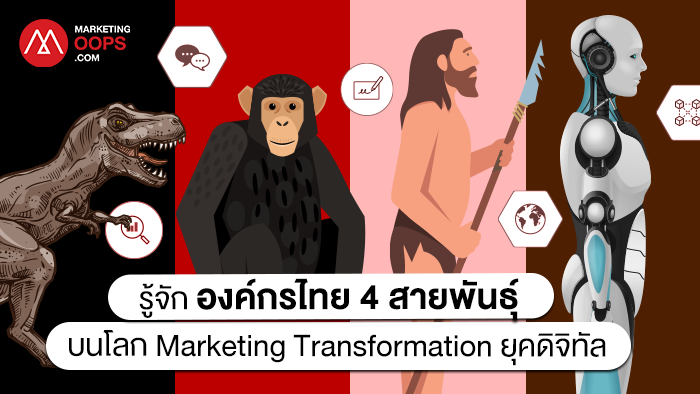 YDM Marketing Transformation