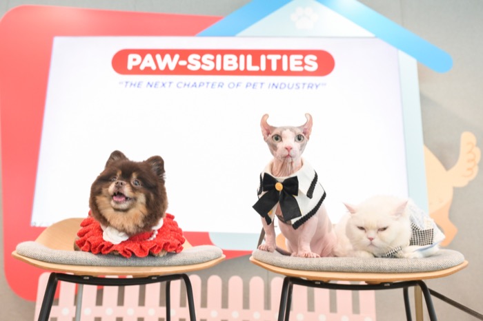 KTC PAW-SSIBILITIES