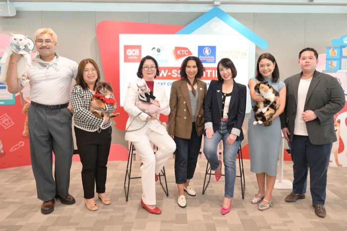 KTC PAW-SSIBILITIES
