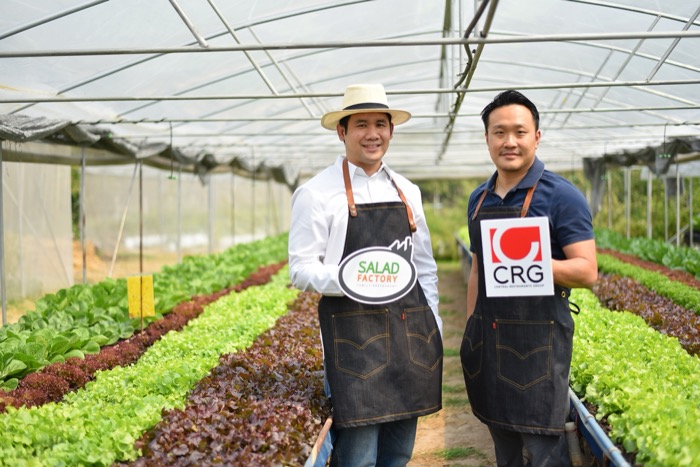 Salad Factory x CRG