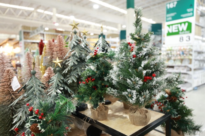 Thai Watsadu x BnB Home