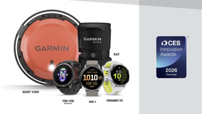 Garmin 2025 Business Performance